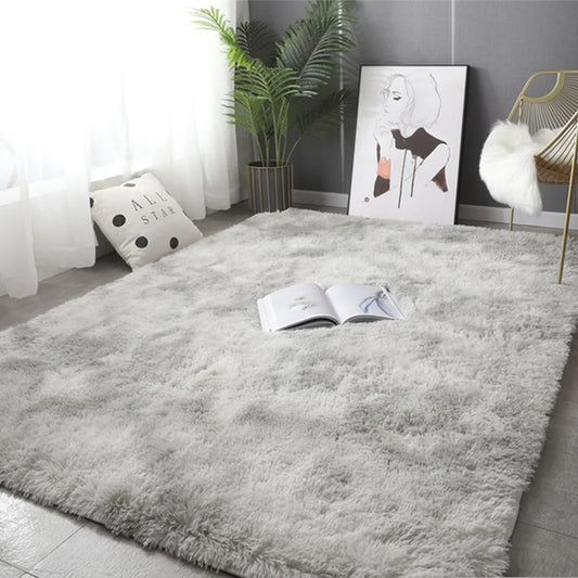 Tapis de Salon et Chambre à Coucher